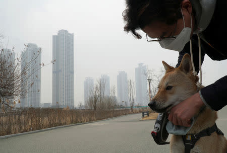 Cho Eun-hye's husband puts a mask on Hari, their one-and-a-half-year-old Korean Jindo dog as they go for a walk on a poor air quality day in Incheon, South Korea, March 15, 2019. REUTERS/Hyun Young Yi