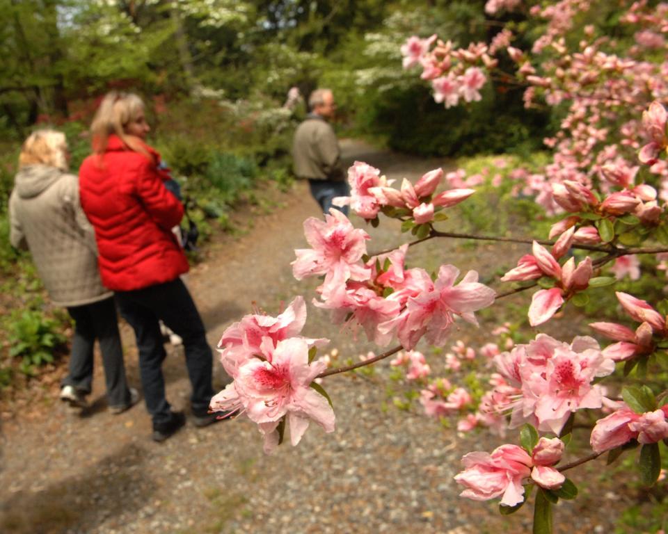 Visitors admire the grounds of Laurelwood Arboretum on Pines Lake Drive West in Wayne.