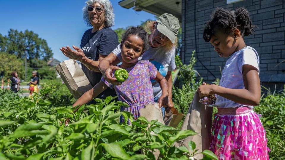 Volunteer Sandra "Garden Diva" Sanders, 66, of Detroit, center, hands a bell pepper to Theora, 5, while picking vegetables from the community garden at Avalon Village in Highland Park, Mich. Grace Juarez, 71, of Madison Heights, left, and Andaiye, 6, of Detroit, right, look on, Thursday, Aug. 31, 2023. A community garden run by Avalon Village in an empty lot is at risk. Premier Michigan Properties LLC with a mailing address of La Jolla, California, owns the vacant home next to the garden and wants to buy the lot. So does Avalon Village. Now, neighbors are fiercely pushing back against the company.