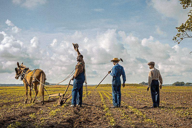 Wide open spaces: Mudbound is set on a farm in Mississippi, a landscape which deserves to be seen on the big screen: Elevated Films/Joule Films