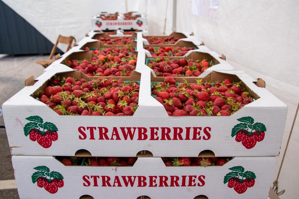 The 17th annual Bolivar Strawberry Festival is Thursday, Friday and Saturday in downtown Bolivar on and near Canal Street. Hours are 4 to 10 p.m. Thursday and Friday, and noon to 11 p.m. Saturday.