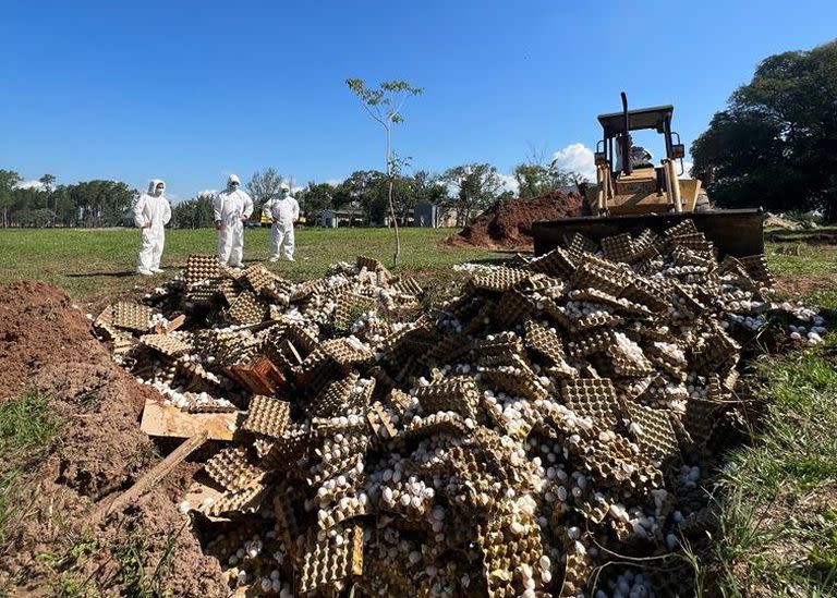 El Senasa realizará una nueva muestra en la avícola Santa Ana