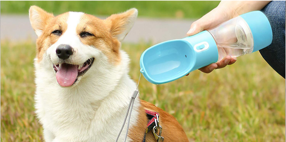 Husdow's Dog Water Bottle (Image via Amazon)