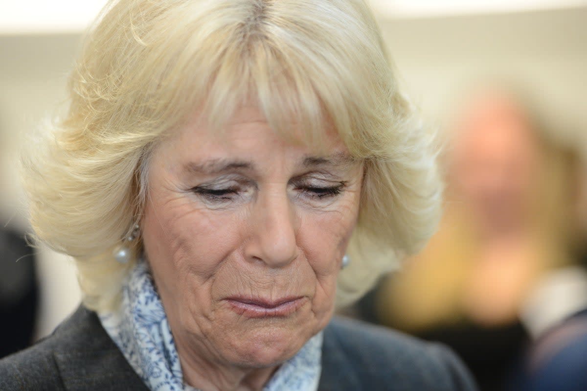 The Duchess of Cornwall was delivering a keynote speech at an event being staged in Rwanda (PA) (PA Archive)