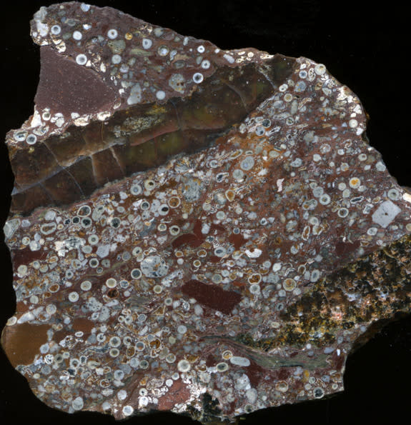 A sample of the 2.63 billion-year-old Jeerinah spherule layer from Western Australia. The millimeter-scale circles are impact spherules that once had crystalline rims (lighter) and central glass cores (darker) that were replaced by other minera