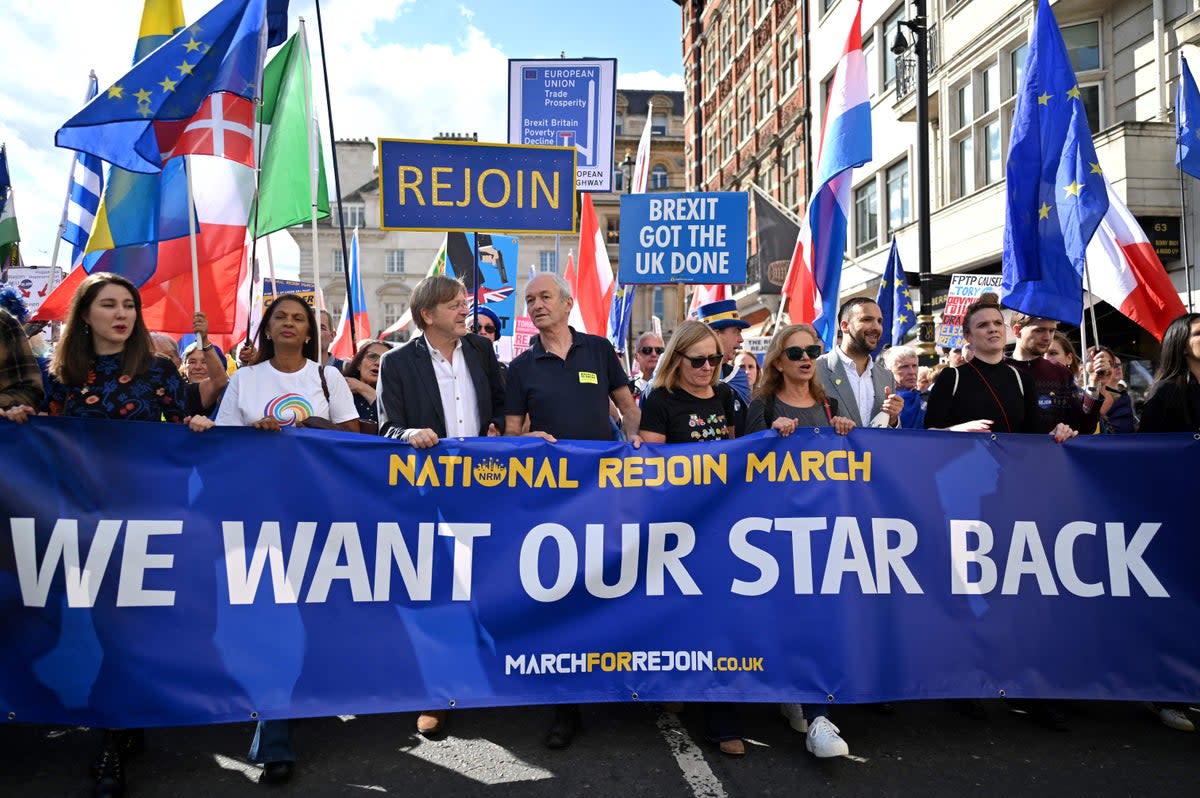 European MP and former Brexit negotiator Guy Verhofstadt (3rdL) and anti-Brexit campaigner Gina Miller (2ndL) take part in a rally calling for the UK to rejoin the EU (AFP/Getty)