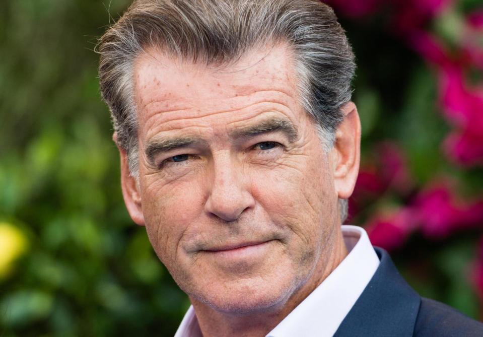 Tone deaf: Pierce Brosnan: (Photo by Samir Hussein/WireImage) (WireImage)