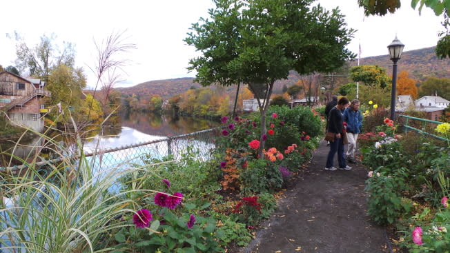 Shelburne Falls 鎮的花橋(Bridge of Flowers)把一座小橋打造成讓人驚艷的花園，吸引眾多遊人駐足。(記者唐嘉麗／攝影)