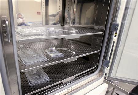 Cell factories sit in an incubator in a Northwest Biotherapeutics laboratory in Memphis, Tennessee, February 21, 2014. REUTERS/Mike Brown