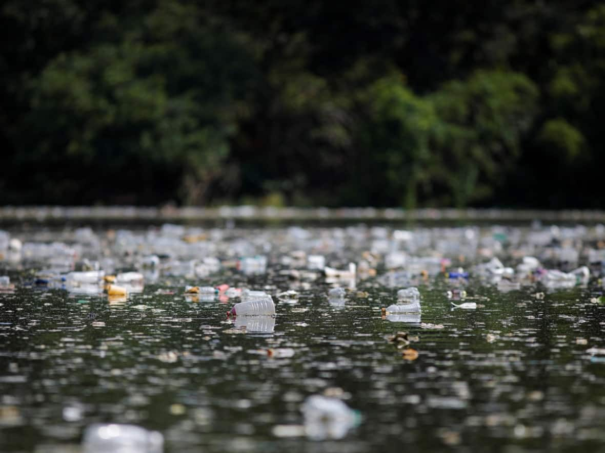 Plastic bottles float on the water of the El Cerron Grande reservoir in Potonico, El Salvador.  (Jose Cabezas/Reuters - image credit)