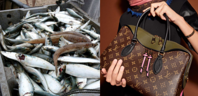 Une vieille dame utilise son sac en cuir Louis Vuitton pour transporter du  poisson