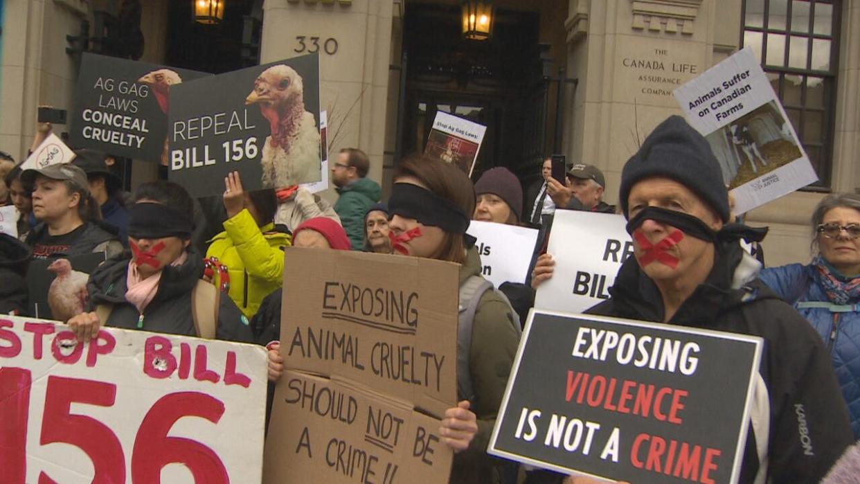 Dozens of people gathered outside the Ontario Superior Court of Justice courtroom on University Avenue on Monday to draw attention to a provincial law that bans undercover investigations of animal cruelty on farms  (Doug Husby/CBC - image credit)