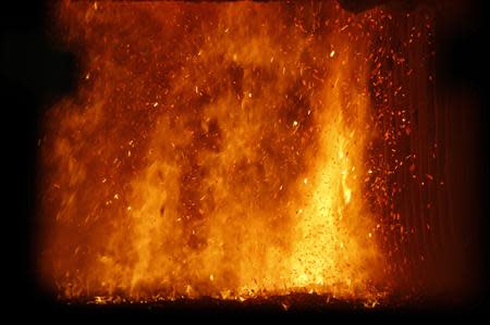 Biomass is burnt at the Helius Corde biomass energy plant in Rothes, Scotland March 20, 2014. REUTERS/Russell Cheyne