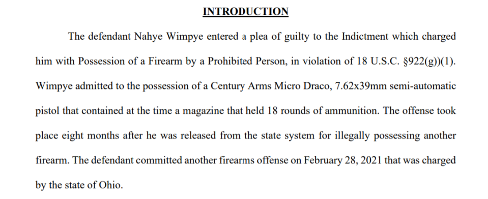 Excerpt from the sentencing memorandum filed in Nahye Wimpye's case in U.S. District Court in Cincinnati.