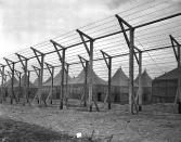 <p>United States Defense Aliens Japanese Internment Camp Upton in New York, November 3, 1941. (AP Photo) </p>
