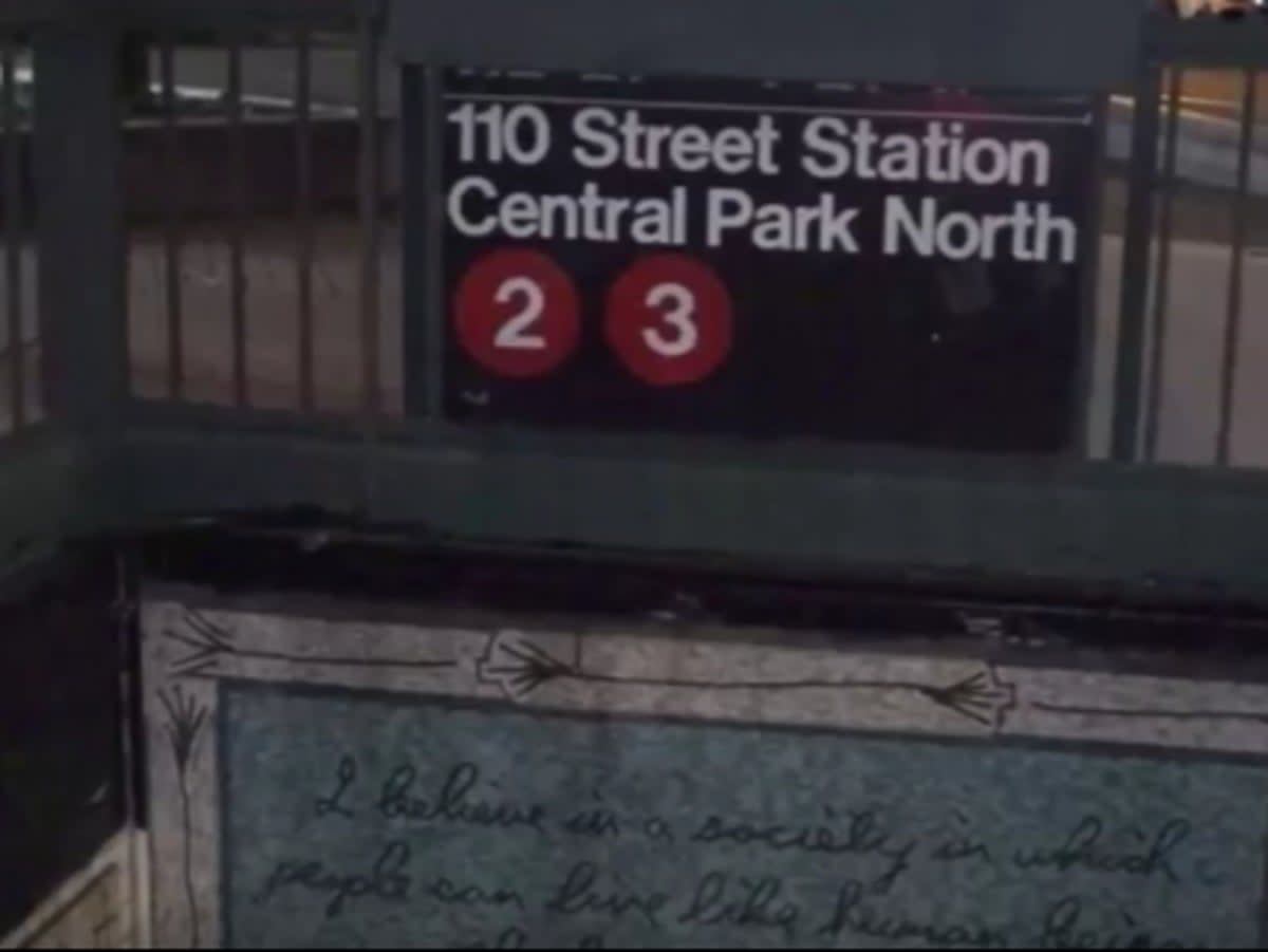 A woman was hit in the head by an unknown person while she was waiting at the Central Park North subway station early Monday, authorities say (NBC)
