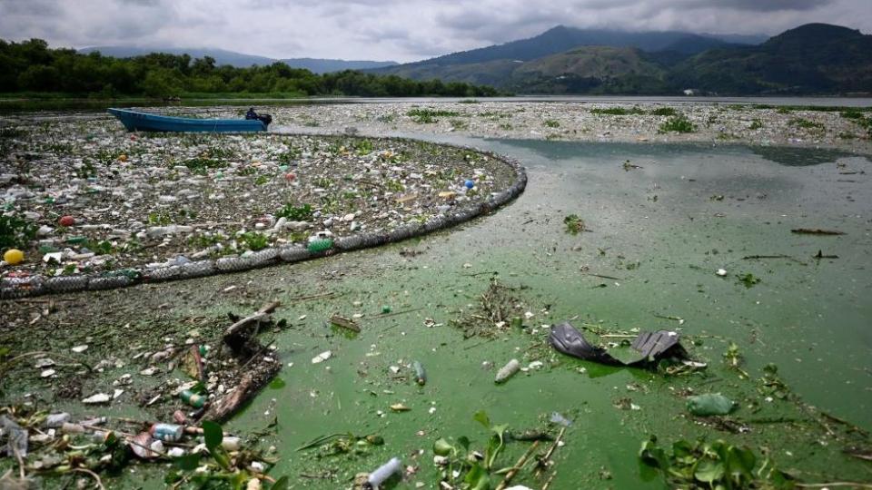 Redes recolectando la basura del lago Amatitl&#xe1;n, en Guatemala