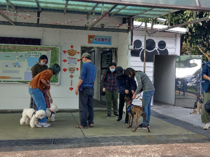 教練陳彥佑幫吳小姐訓練嘟嘟跟妞妞。   圖：新北市動保處提供