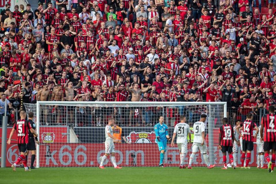 Fans verlieren Angst vor Stadionbesuch