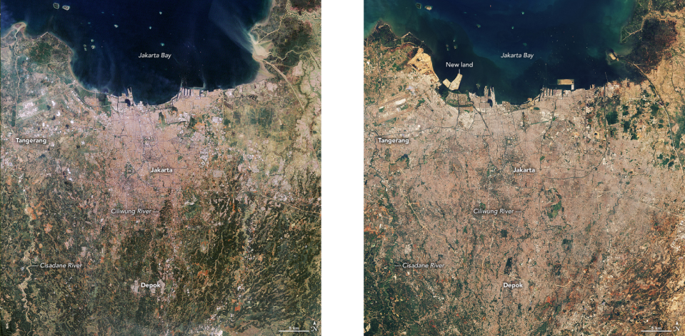 Jakarta, Indonesia in 1990 (left) and 2021 (right). As the city has grown, it has also sunk, thanks to over-pumping of groundwater. The spread of concrete has made the city more vulnerable to floods as the hard surface doesn't absorb water like the forests and grasslands it replaced. Now, rising seas are further upping the risk of flooding. NASA