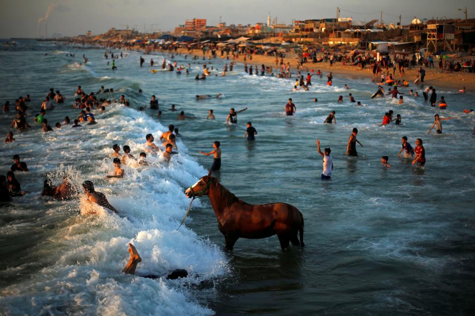 reuters environmental photos of the year 2019