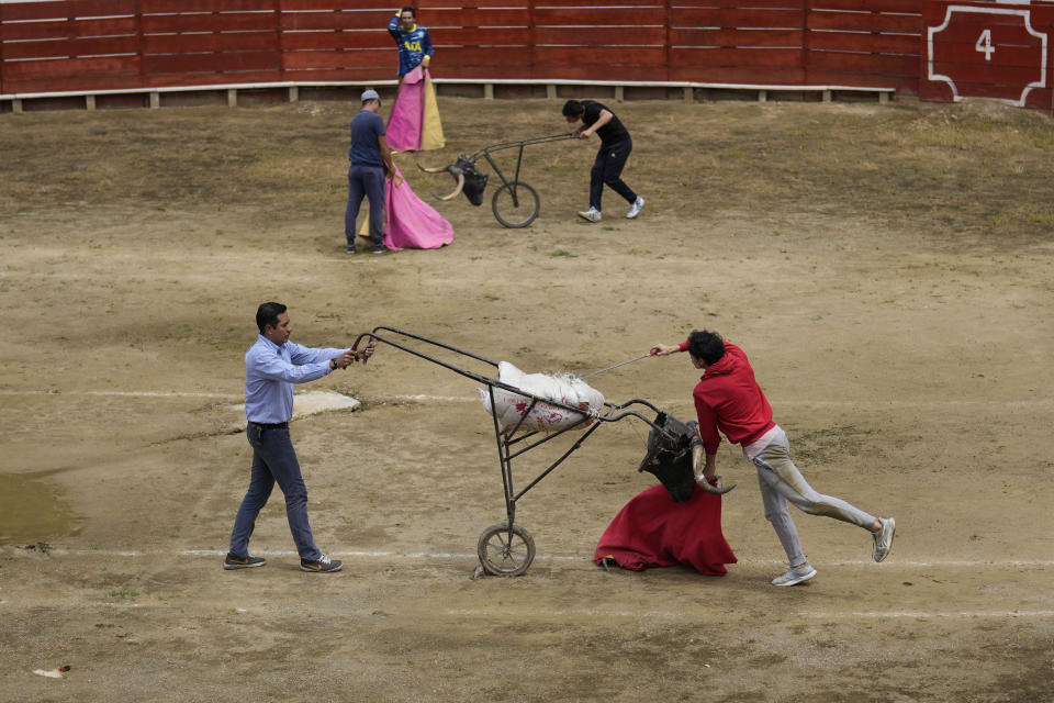 El matador colombiano José Luis Vega, de 30 años, prepara su espada para la estocada en un saco que simula ser los pulmones de un toro en una práctica en la plaza de toros de Choachí, Colombia, el sábado 22 de junio de 2024. (AP Foto/Fernando Vergara)