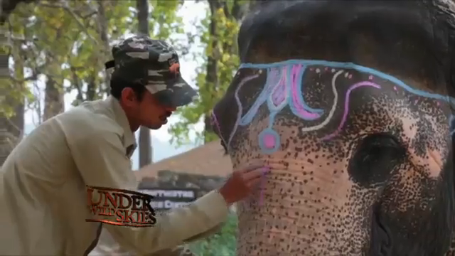 A man painting an elephant's head with decorative paint