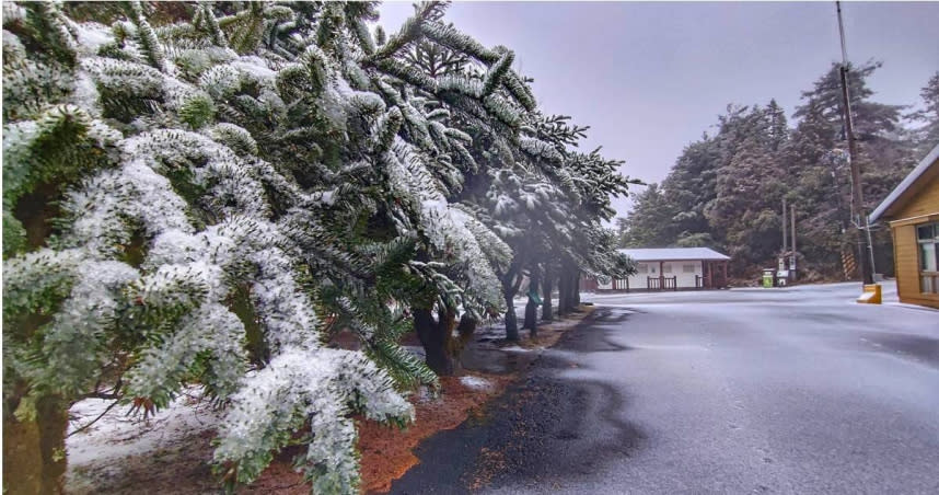 台中大雪山國家森林遊樂區一片雪白。（圖／擷取自Facebook／大雪山國家森林遊樂區）