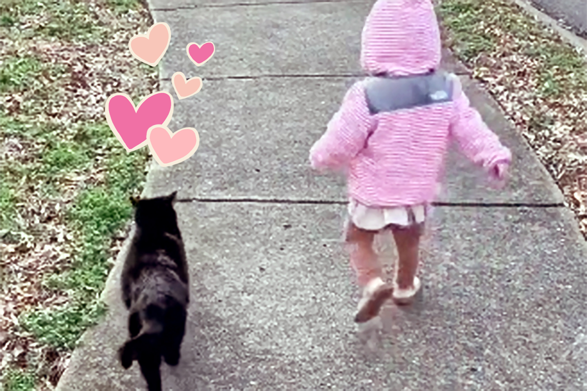 Watch This Young Girl’s Sweet Friendship With a Neighborhood Black Cat and Try Not to Cry