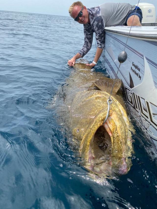 Massive grouper reeled in off Florida; 'We caught a monster