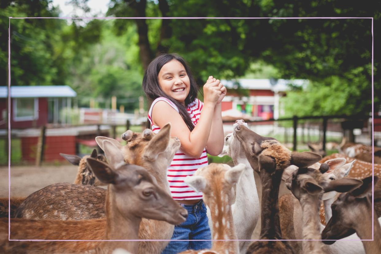  Best zoos in the UK: Child smiling while feeding animals at a zoo. 