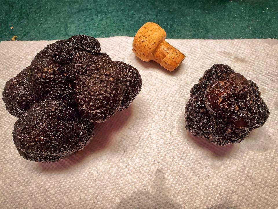 The first two truffles that Margaret Townsend found on her Kentucky farm next to the cork from the champagne bottle she opened to celebrate.