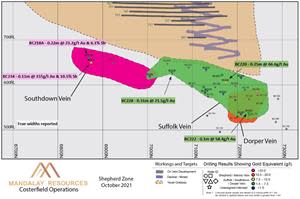 Longitudinal section of the Shepherd Zone Western Vein Group