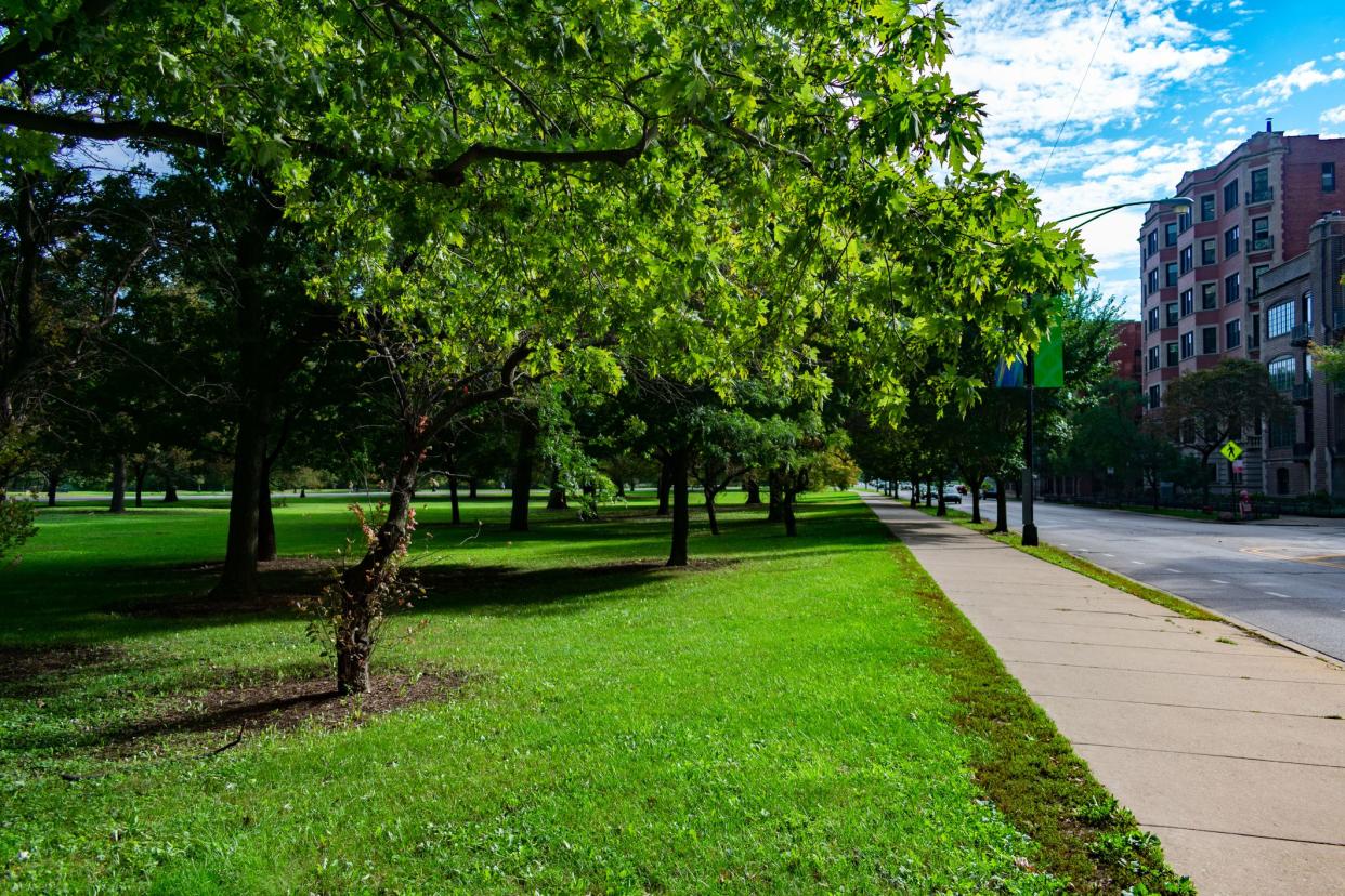 A green tree lined sidewalk during the day in Lincoln Park Chicago