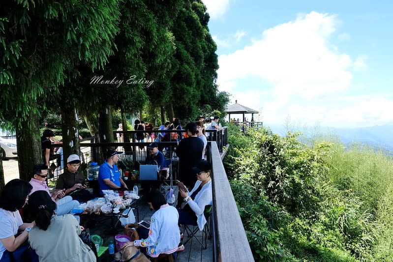 嘉義阿里山｜二延平步道