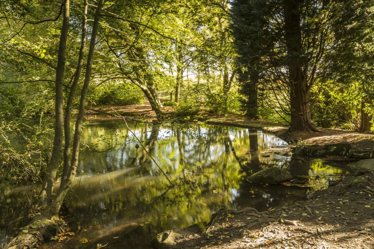 Heaton Park in Manchester, one of 233 Green Flag award winners in the northwest region: istock