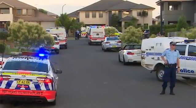 Neighbours heard screams coming from the Manago's home (back right). Photo: 7 News