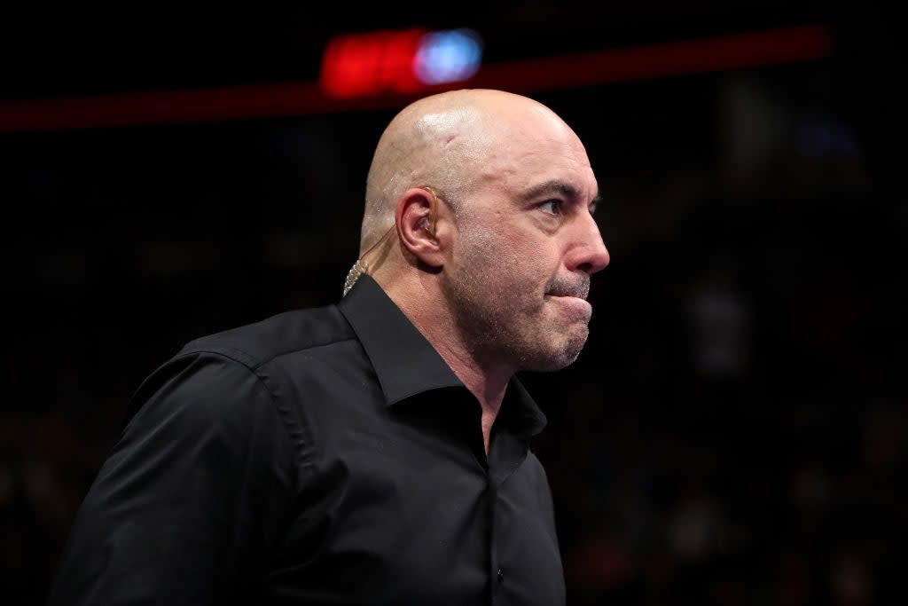 Joe Rogan, host of The Joe Rogan Experience, at UFC 225 (Getty Images)