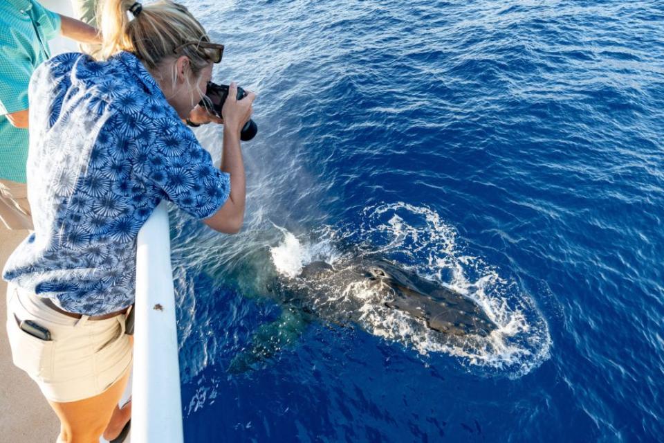 woman riding a boat and taking a photo of a sea creature in the ocean