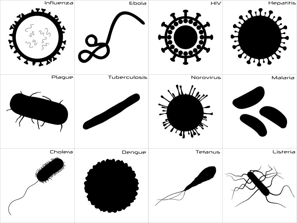 Large and detailed icon set of different germs