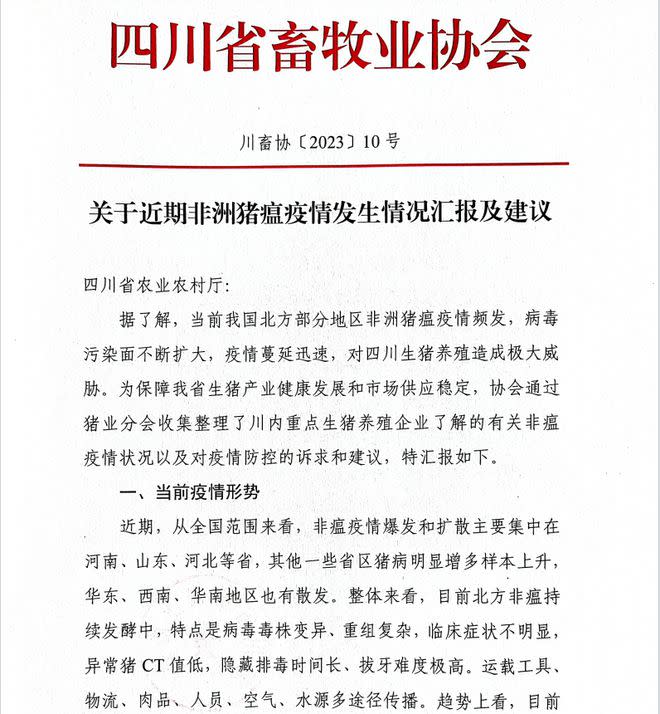 中國四川省畜牧業協會檔《關於近期非洲豬瘟疫情發生情況報告及建議》內容遭到外流。   圖：翻攝自中國《財聯社》