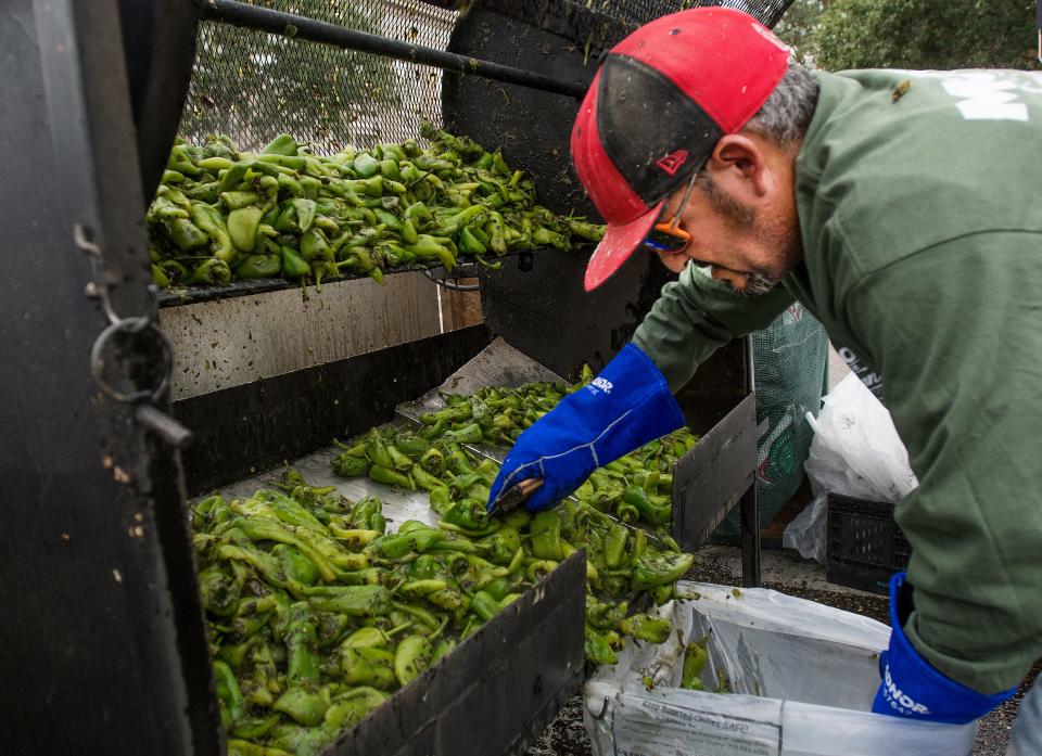 Pueblo Chile roasting will be going on in full force Sept. 22-24 during the annual Pueblo Chile & Frijoles Festival along Union Avenue in downtown Pueblo. In this Chieftain file photo from 2017, Doroteo Sanchez bags bushels of chiles after roasting them at the Musso Farms stand.