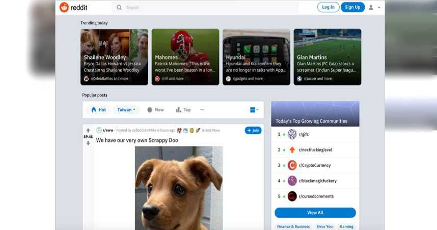 Reddit是美國極受歡迎的社群，想要交流不怕找不到適合的群組。（圖／翻攝自官網）