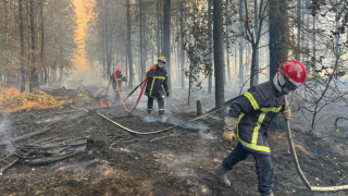 L’incendie dans la forêt de Brocéliande en Bretagne contenu, malgré des reprises dans la nuit