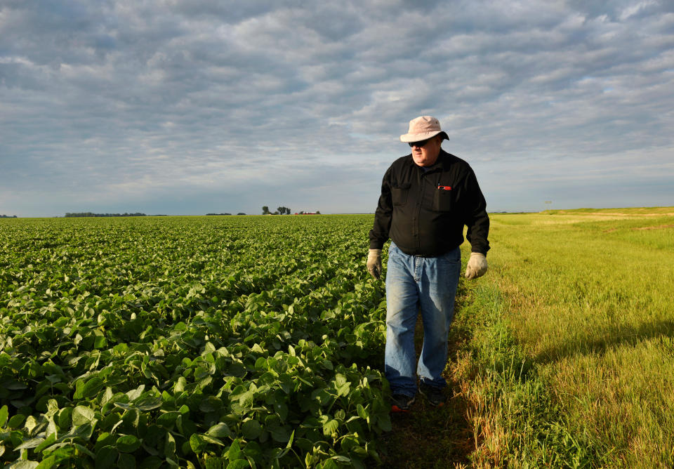 Corn and soybean farmer William Hejl checks one of his soybean fields in Amenia, North Dakota, U.S., July 6, 2018.  REUTERS/Dan Koeck