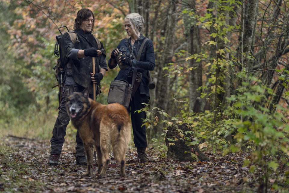 Dog smiling for the camera. (Photo: Eli Ade/AMC)