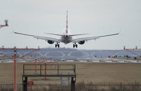 An American Airlines Boeing 737 MAX 8 flight from Los Angeles lands at Reagan National Airport shortly after an announcement was made by the FAA that the planes were being grounded by the United States in Washington, U.S. March 13, 2019. REUTERS/Joshua Roberts