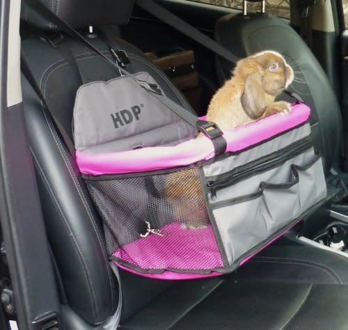 HDP Deluxe Lookout Dog, Cat and Small Animal Booster Car Seat