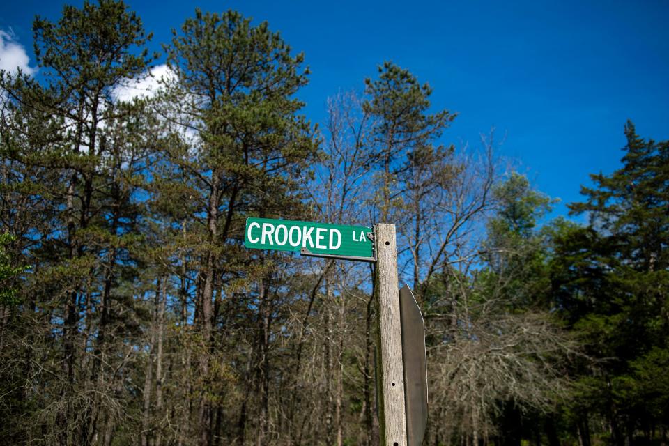 The driveway leading to the home of Bill Wasiowich, 83, in the Pinelands of Woodmansie, New Jersey.