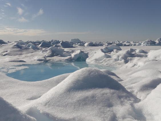 The team examined sea ice in the Arctic (EPA)